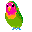 Parrot