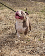 IMG_20230416_015555_644