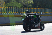 DSC-0002-(1)