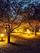 IMG_20210504_235636_1