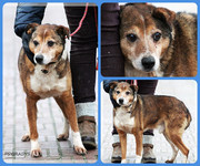 Be-Funky-collage-15.jpg&key=709e99bc99ca