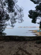 photo_2025-01-31_21-03-29