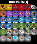 gliders-comp