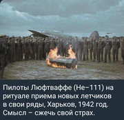 https://i.postimg.cc/MnQKV9xr/photo-2026-08-18-08-44-45.jpg
