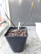 20190412-184903.jpg