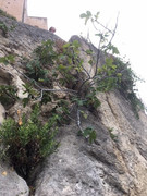 E44A1EA4-B1FA-4222-8D39-17CB19E4D13E