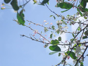 photo 3 2025 12 24 16 04 46