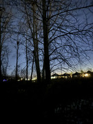 IMG-0016