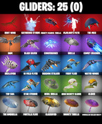 gliders-comp