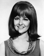 shelley-fabares-c08