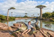 bestphoto-1778979532046-png