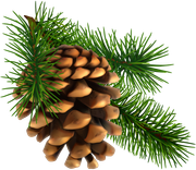 BC-Xmas-In-The-Wood-Elem-100