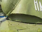IMG-3294