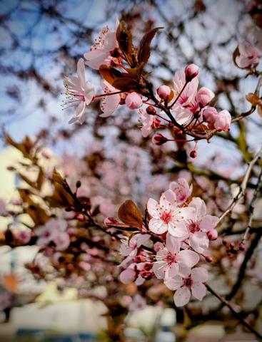 IMG 20260327 092841 3