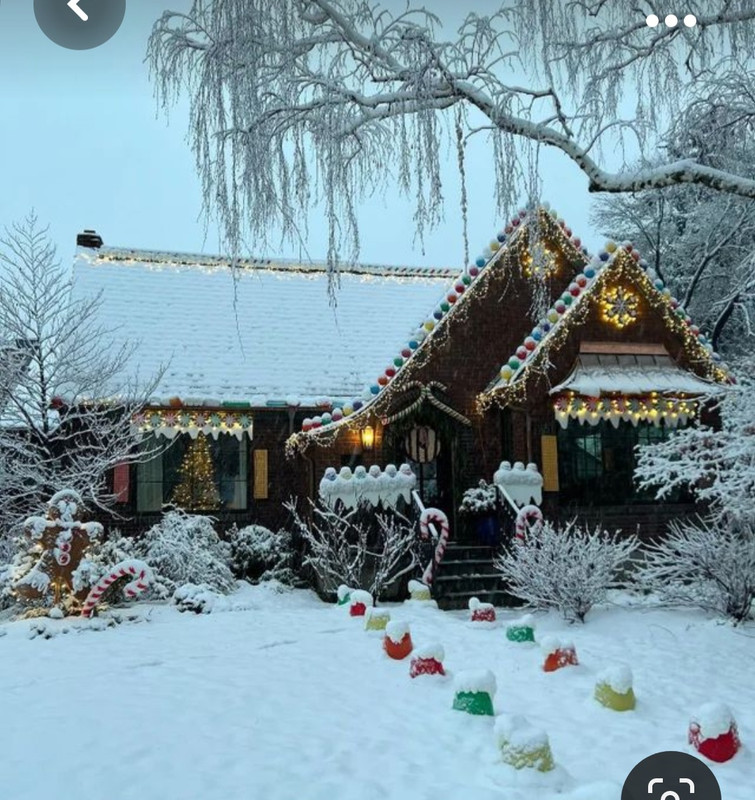 Screenshot_20231023_225149_Pinterest