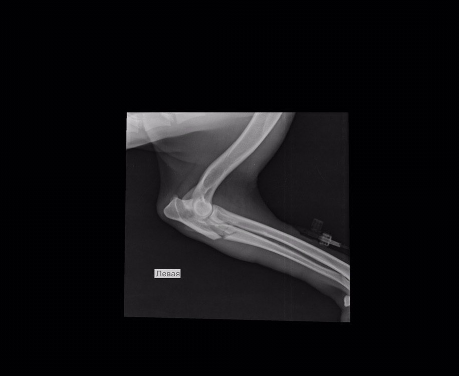 F4F636CB-E6DE-44B6-9E53-732FDB3374EF