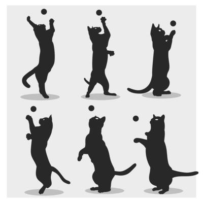 cat playing silhouette
