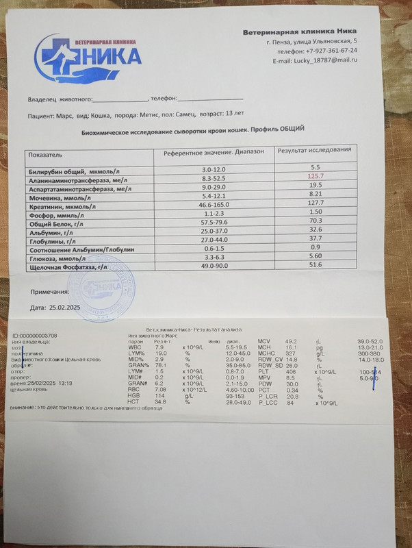 марс анализы 25.02.2025