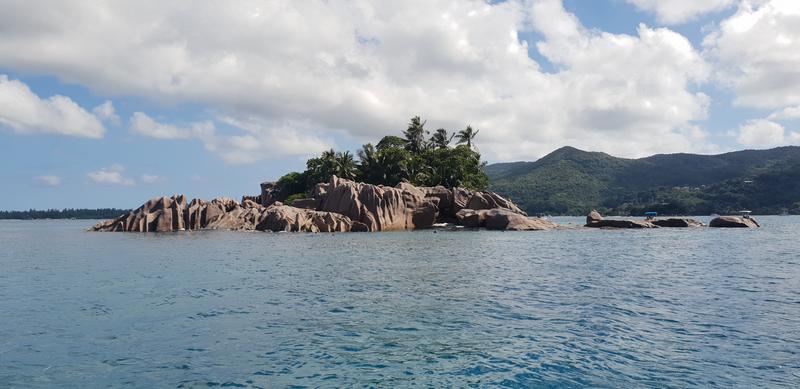 Seychelles-2ª parte de nuestra luna de miel. Se puede pedir más? - Blogs de Seychelles - DÍA 3:  PRASLIN – CURIEUSE ISLAND – SAINT PIERRE (44)