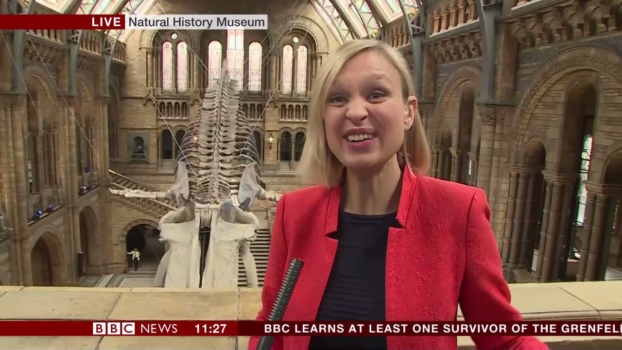 BBC Newsroom Live_20170713_11001130.ts_snapshot_