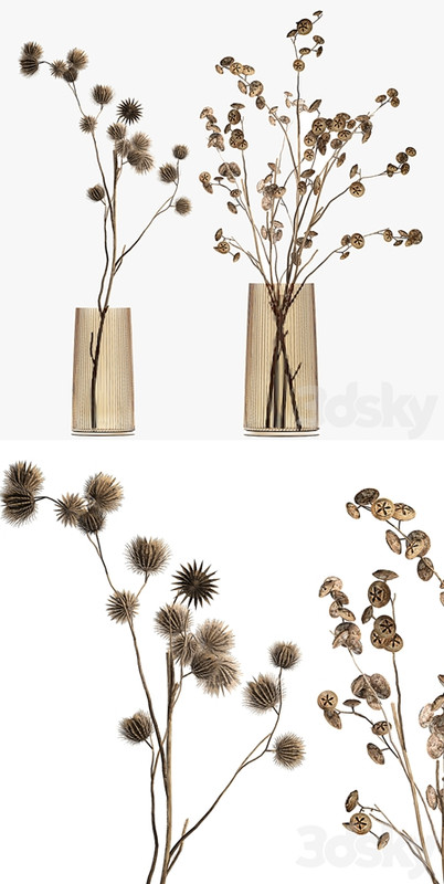 A set of two bouquets of dried flowers, twigs, thorns, vase, eucalyptus. 245.