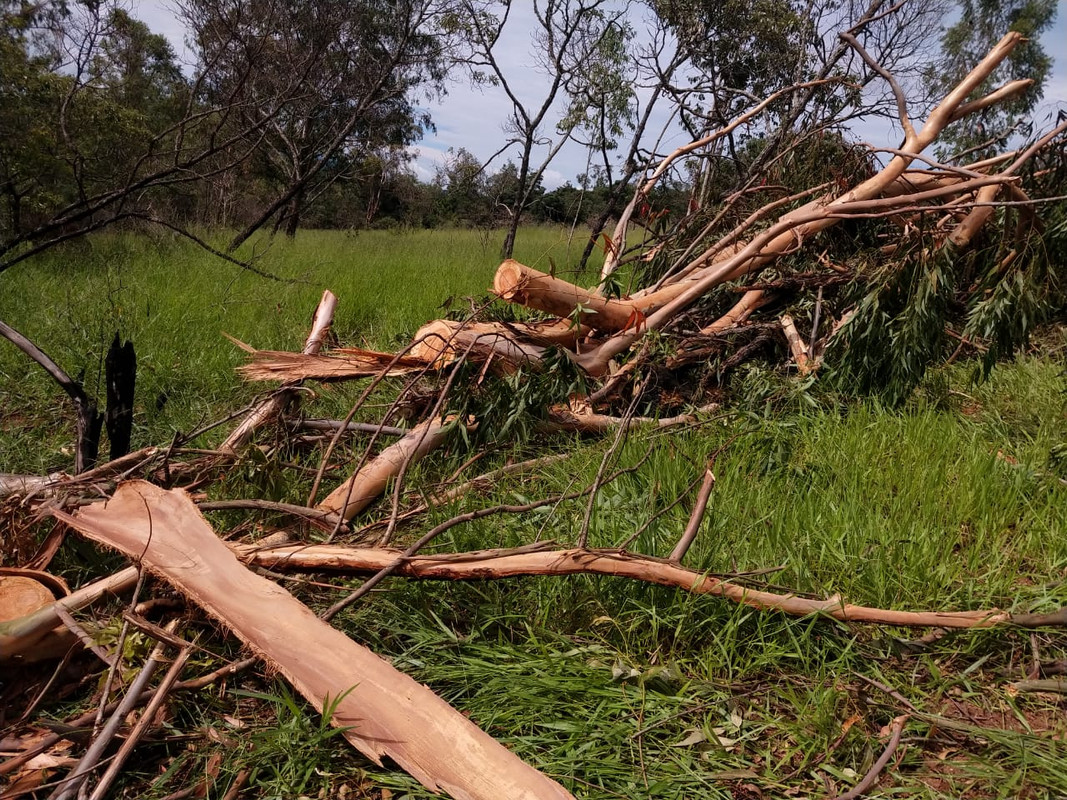 WhatsApp Image 2020-01-31 at 15.50.18 (5)