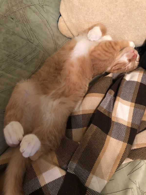 70593708-4F1F-49F3-8CBB-7204B087D866