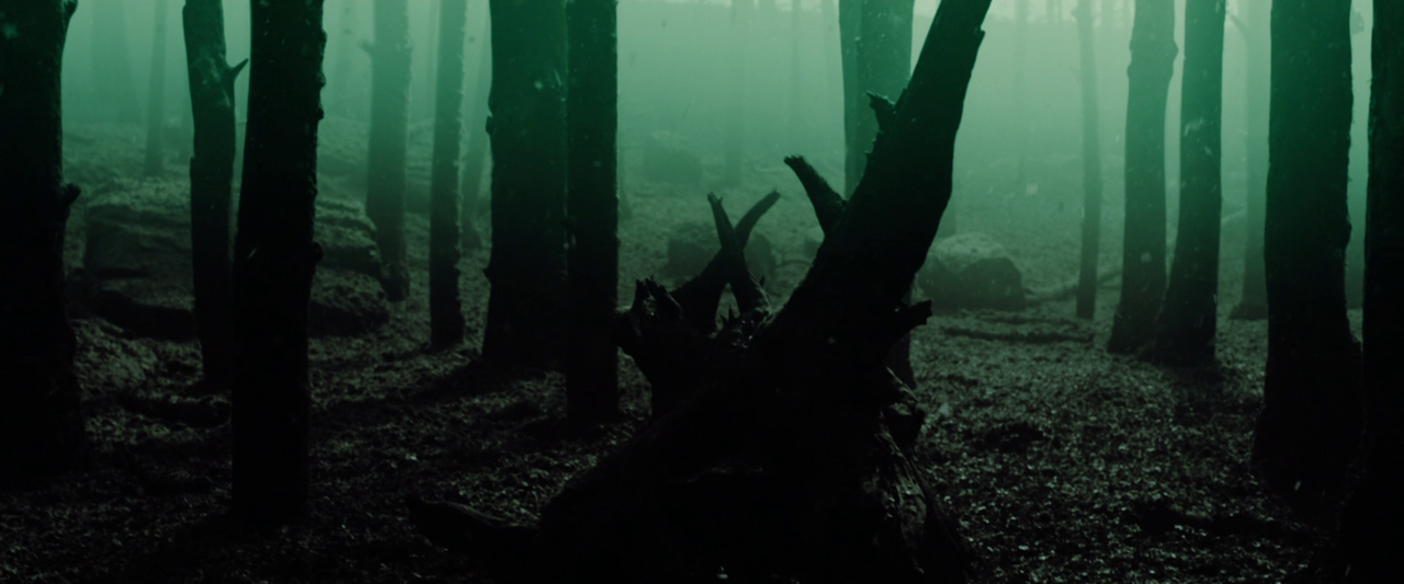 vlcsnap-2024-01-23-19h33m55s989