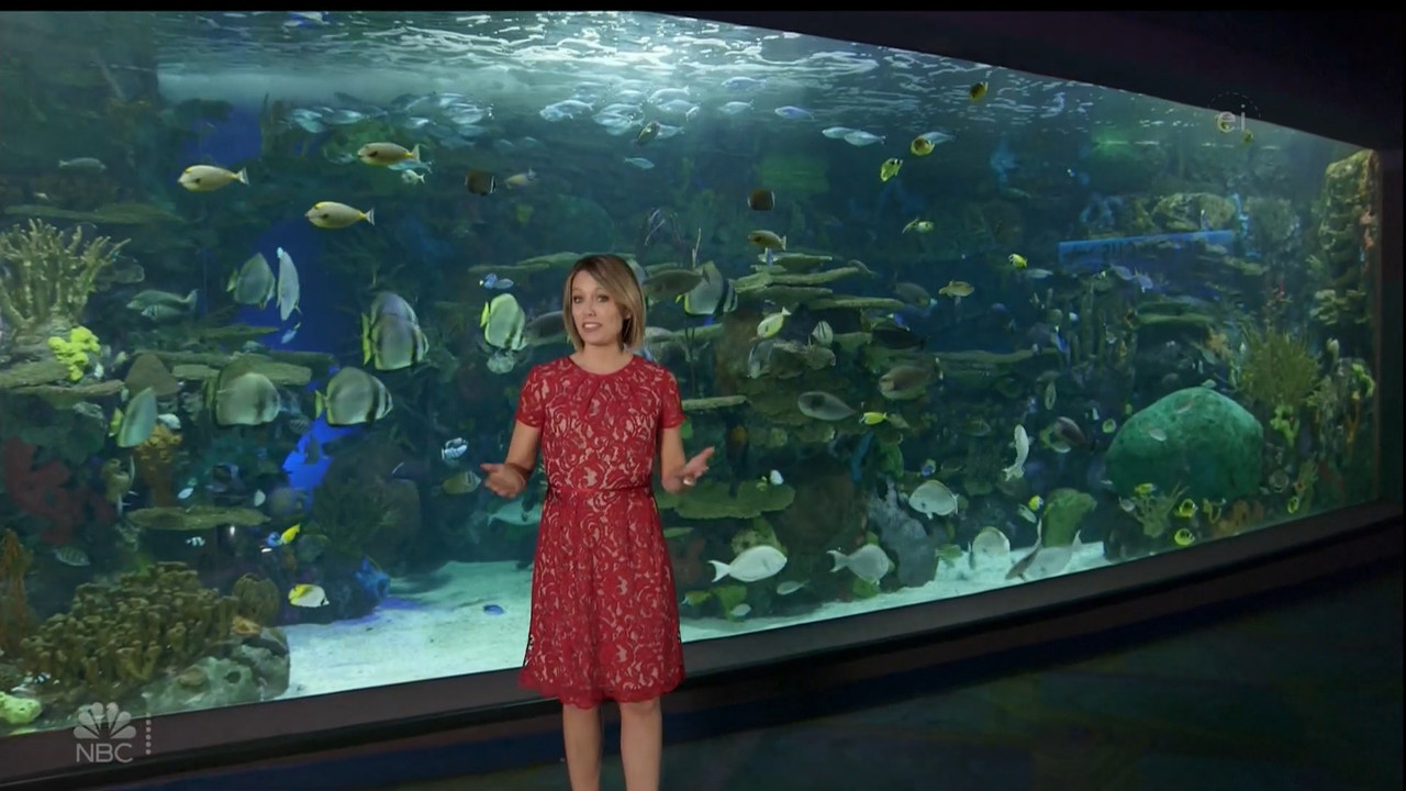 11.07 - 15.00.00 - Earth Odyssey With Dylan Dreyer. The world's smart....ts_snapshot_01.05.16.680