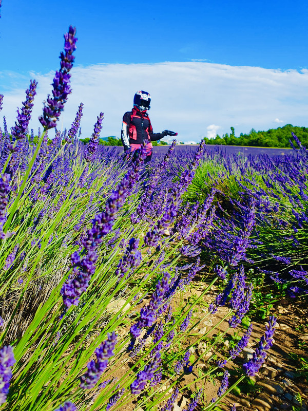 1FC64B21-16AA-45E0-A810-4A62CCD1C46F