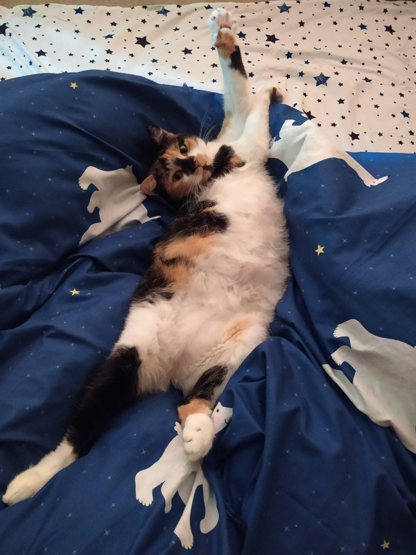 C8FBC83E-1D7E-4D41-A823-F5CBD83B1A51