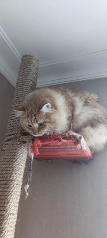 photo_2022-09-06_10-03-08 (2)