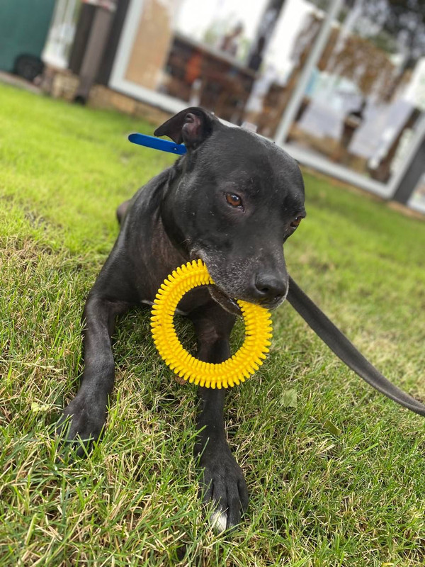 9C01ABD3-C6E0-44AA-BCC7-81846BE39FB1