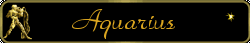 Sourced from: https://www.glitter-graphics.com/blinkies/zodiac/JHj-aquarius