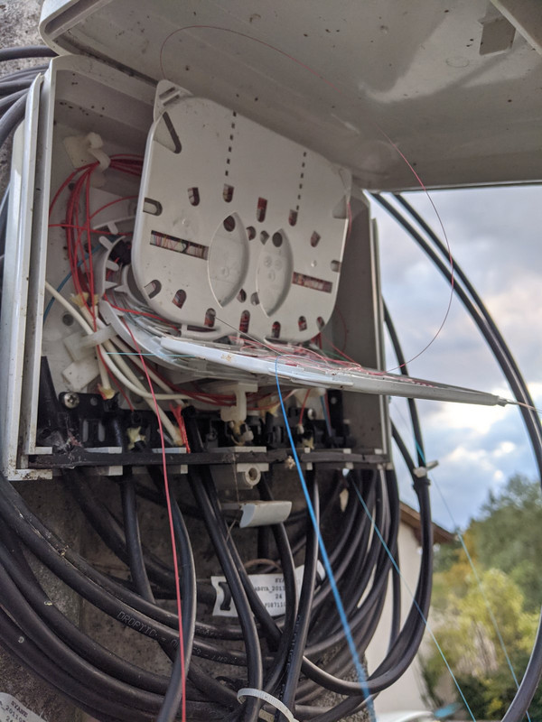 PXL_20211020_161138695.MP