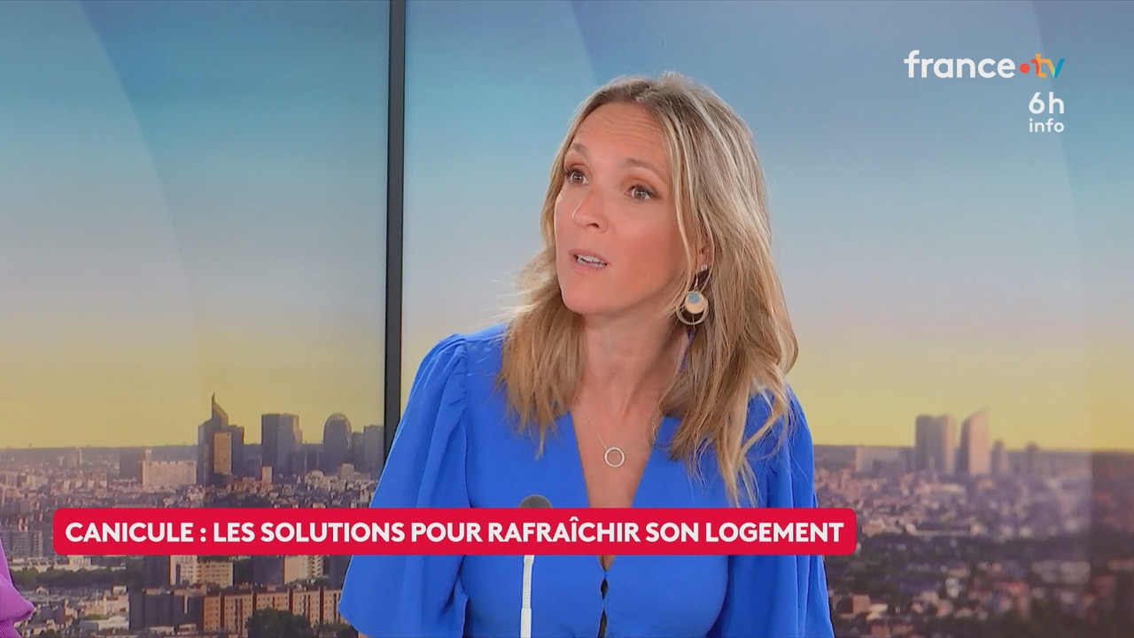 Le 6h info (France 2) 2026 06 20 04 55 67 ts snapshot 22 11 788