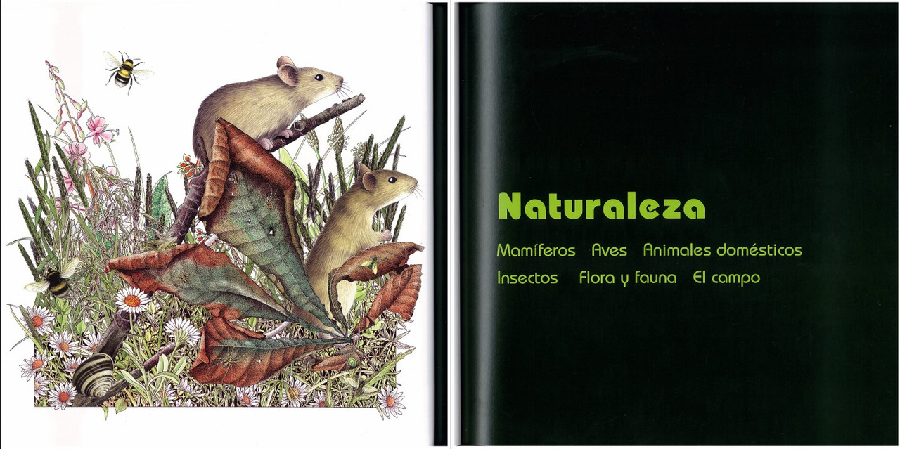 El-gran-libro-de-la-ilustraci-n-contempor-nea-foto-2.jpg