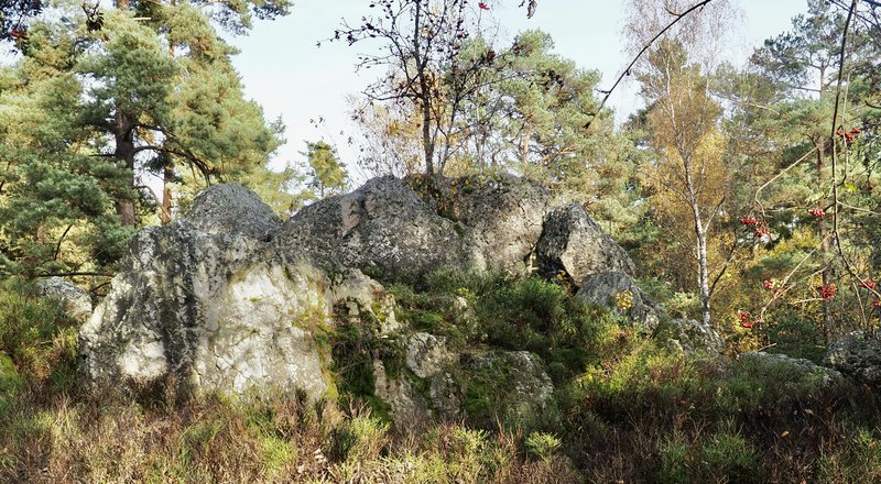 PA290835.jpg