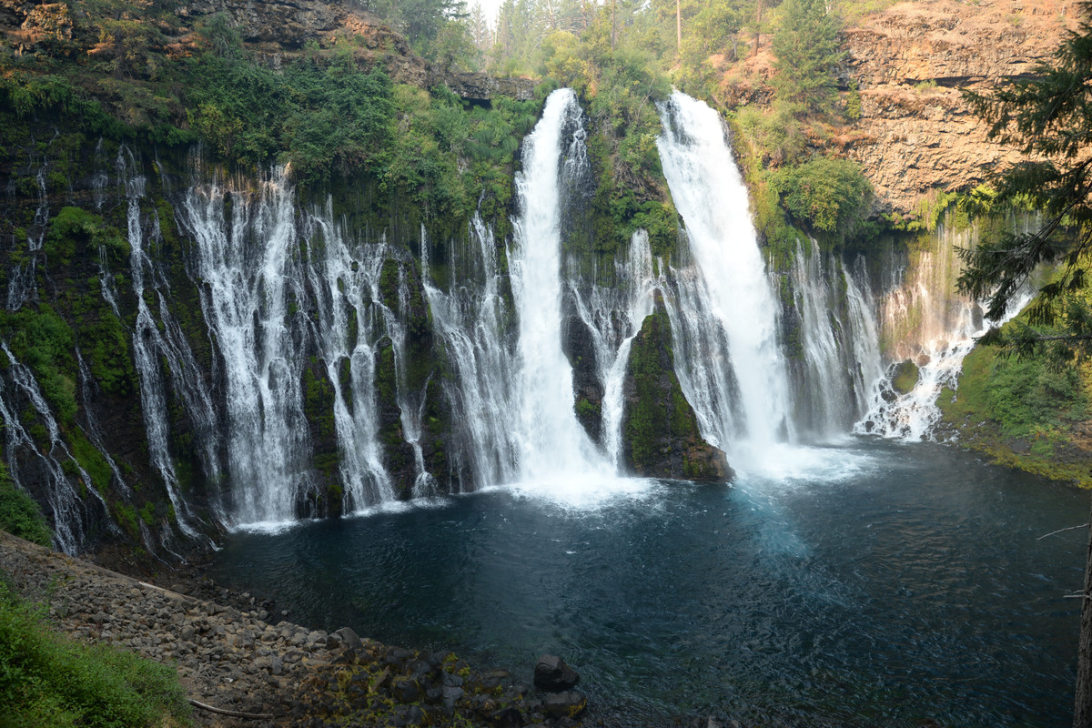 Árboles gigantes, fuegos y volcanes extintos - Oregon y California norte (2018) - Blogs de USA - Primeros días en el norte de California (23)