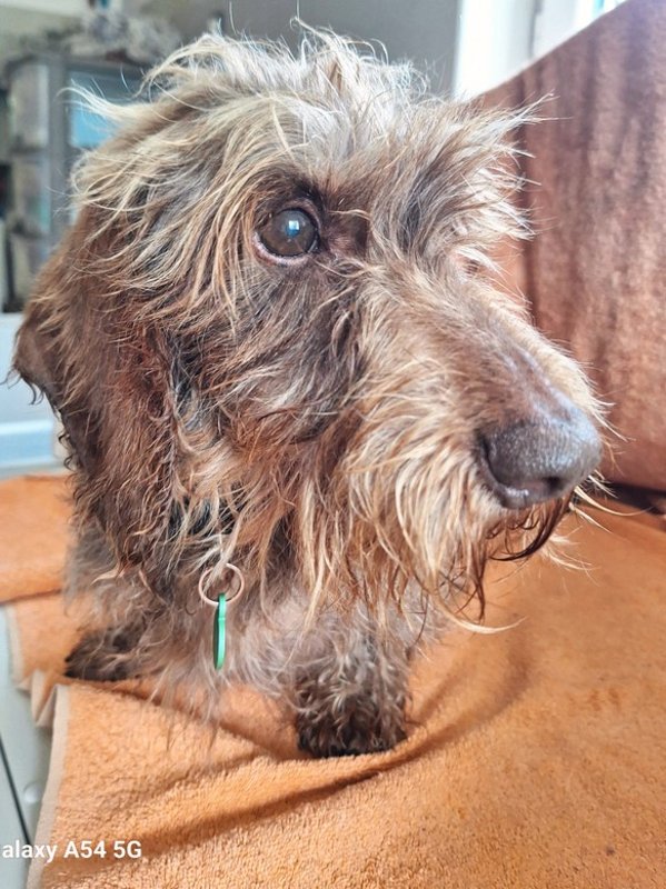 [Image: 20240930-113456.jpg]