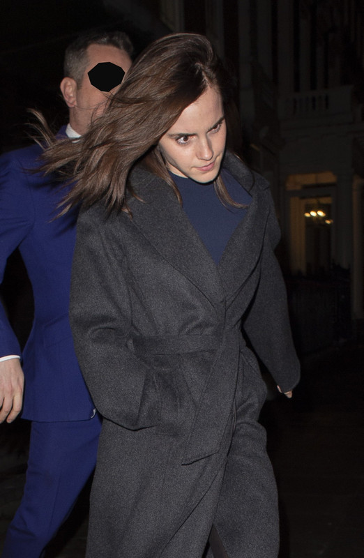emmawatson-updates.com (18)