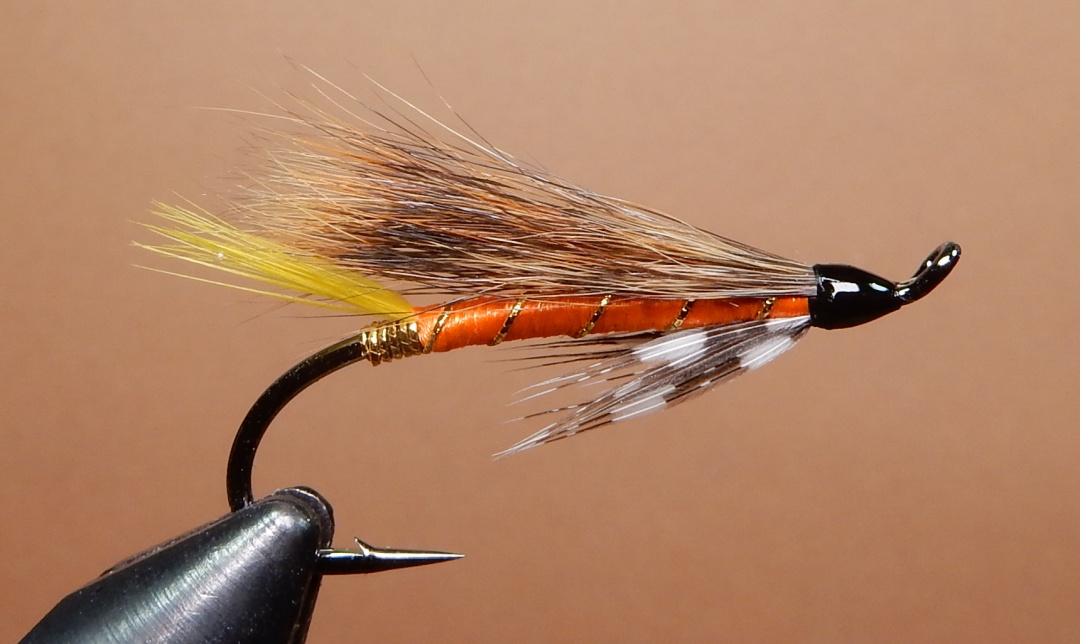 Brown-Mystery-1080.jpg