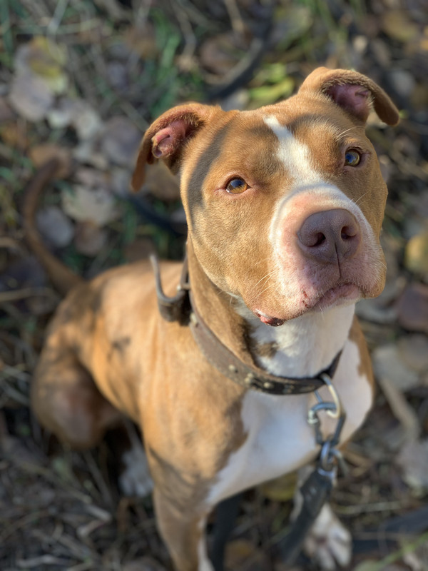 A64E9891-8A75-4CA8-96FE-2C676B8BDA53