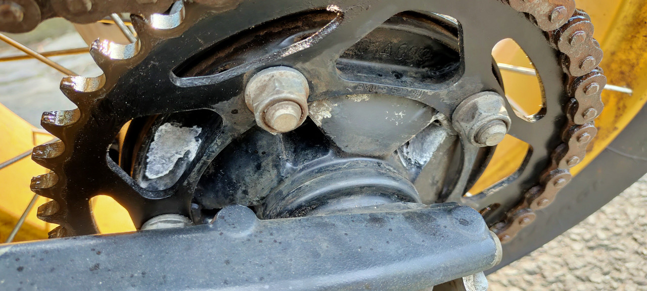 IMG20220323151321 (1)