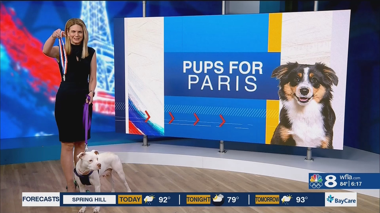 NewsChannel 8 Today at 6a_20240807_11001200.ts_snapshot_00.18.26.415