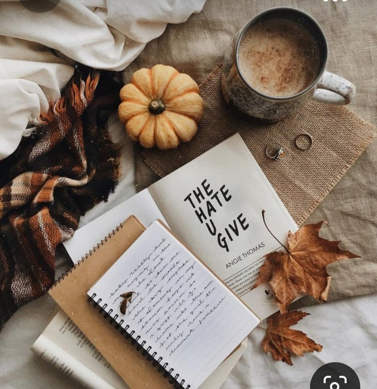 Screenshot_20230923_235112_Pinterest