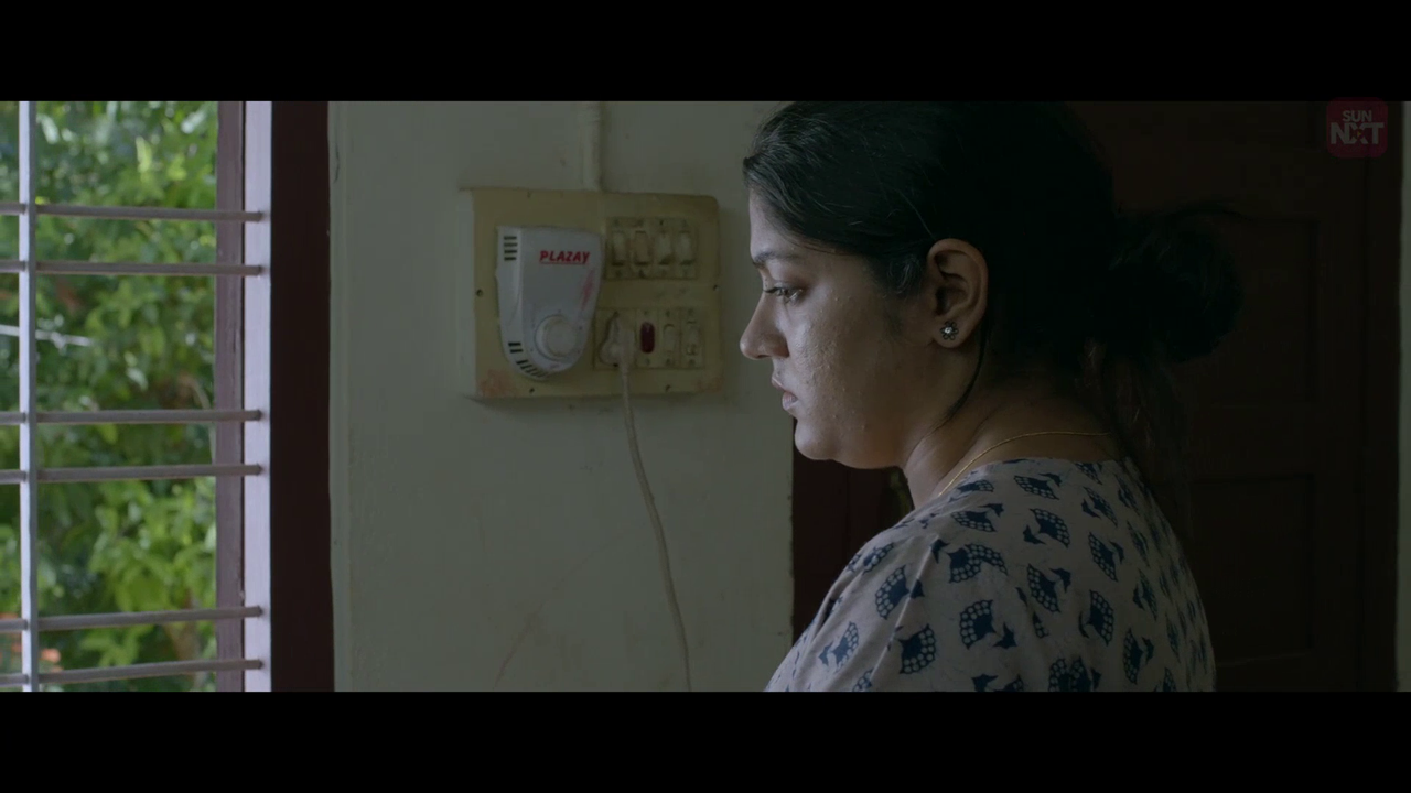 vlcsnap 2026 02 11 15h36m21s151