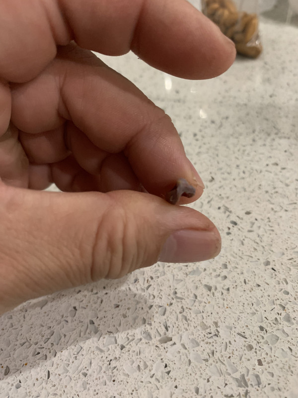 F9D3774C-C0CB-4DFB-9FEA-73226448E1B2