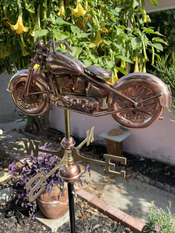 D022F959-E3F5-4D1C-B111-152E84386979_1_105_c