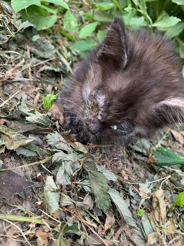 B783E623-D3C7-4819-A483-6F47E26DE67C